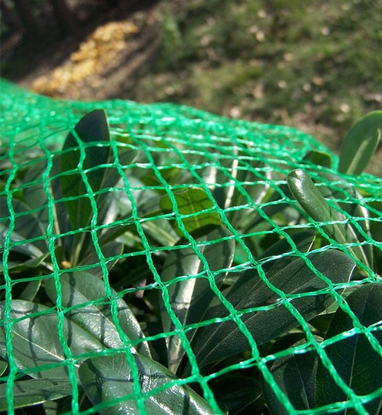 Plastic Woven Fence